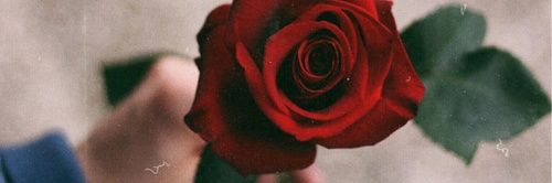 platoniced's profile banner image