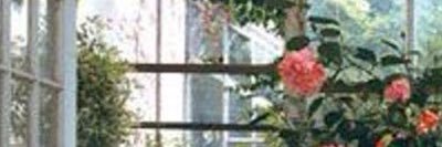 atrwerd_'s profile banner image
