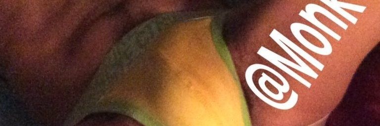 MonkeyBTM's profile banner image