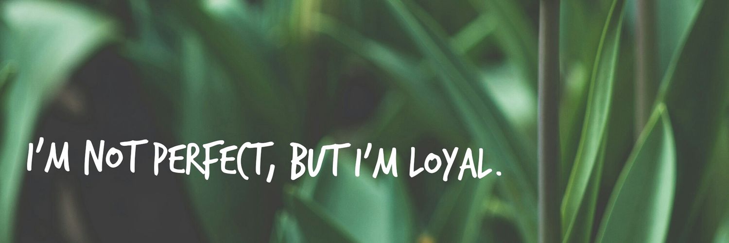 JaraHoran's profile banner image