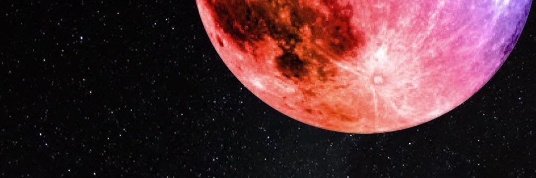 egzonz1's profile banner image