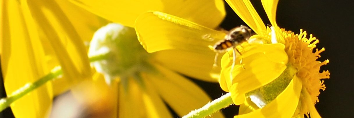 thetimeiswrite's profile banner image