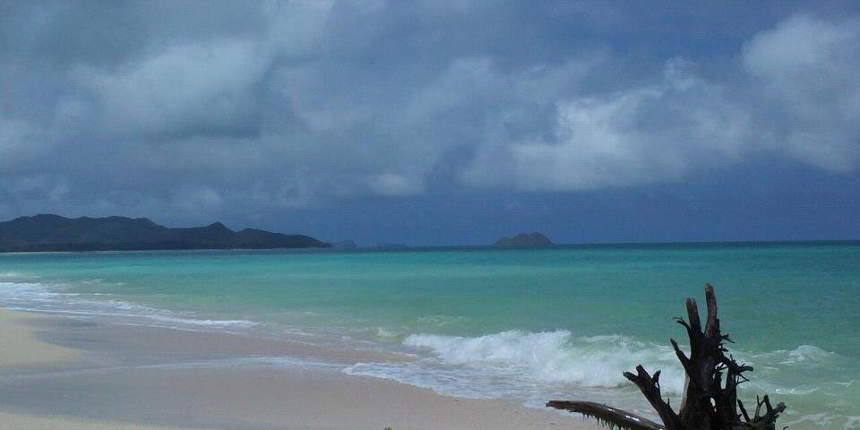 Laia Brossa 🎗 banner