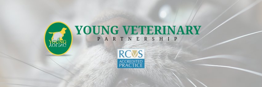 young veterinary banner