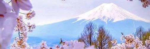 lmgc21's profile banner image
