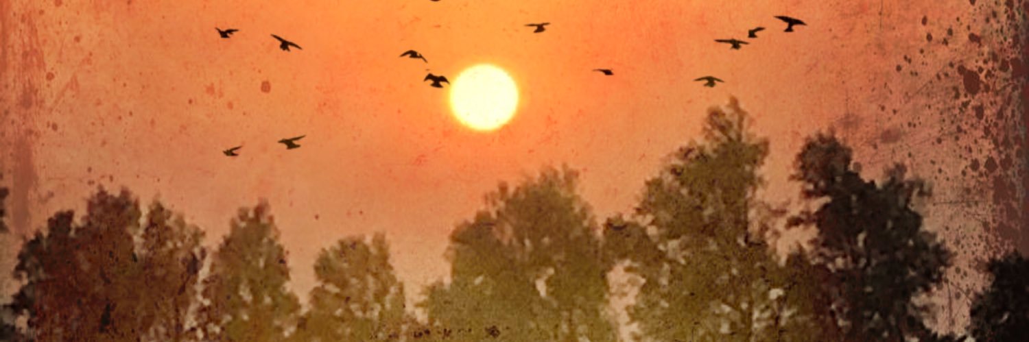 ma3mool's profile banner image