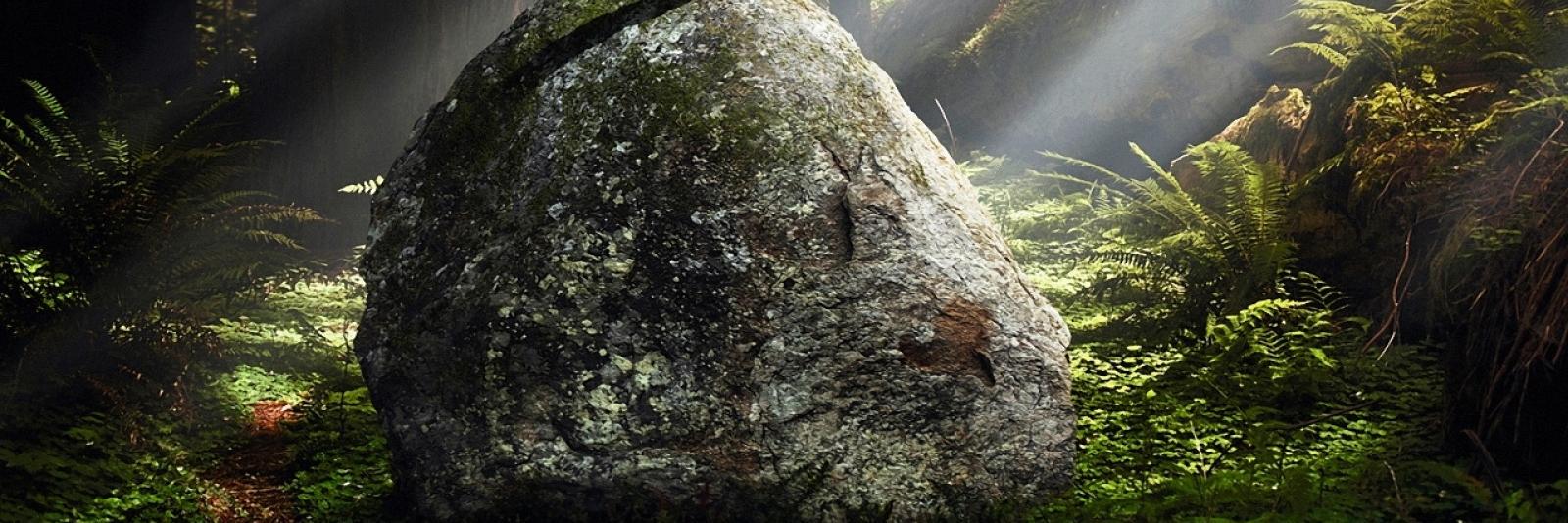 LoraNoOne's profile banner image