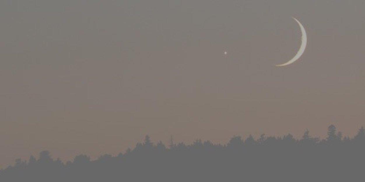 paleswift's profile banner image