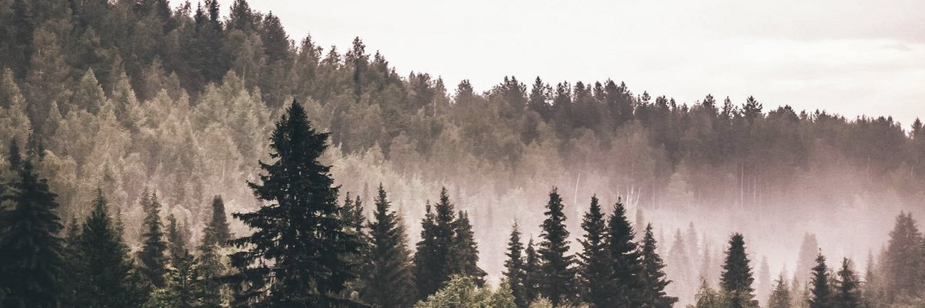 davidlandry_'s profile banner image