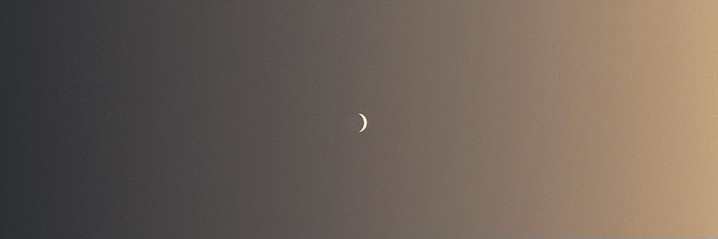 chrrnisaa_'s profile banner image