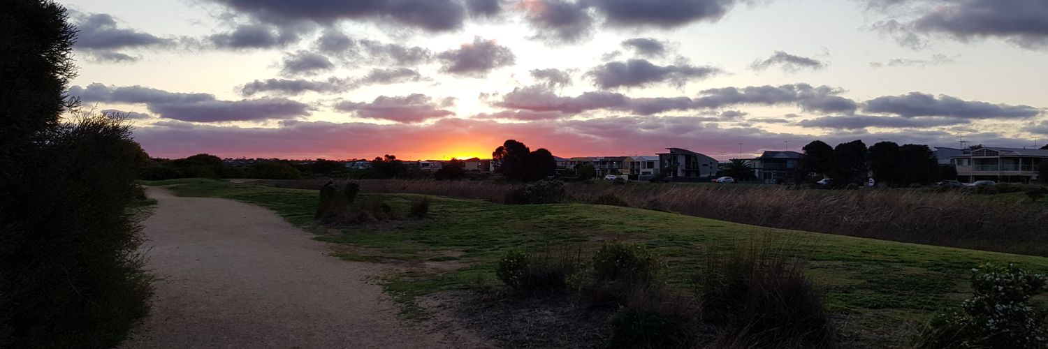 Michael Gibson banner