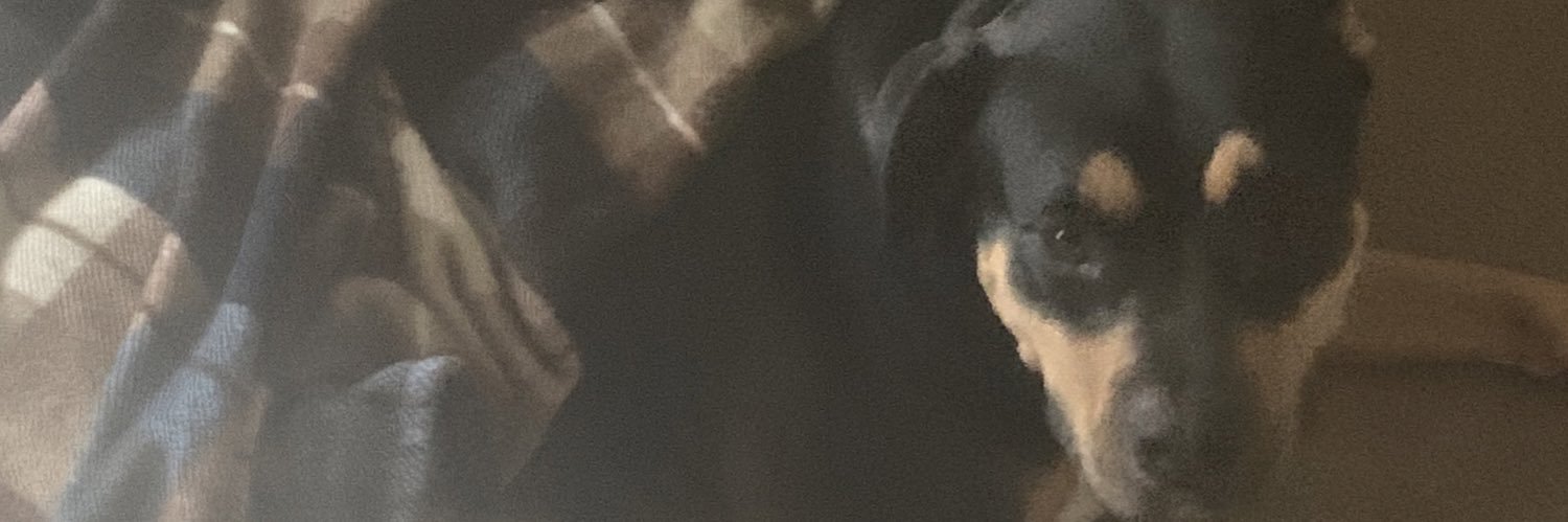 latizianoway's profile banner image