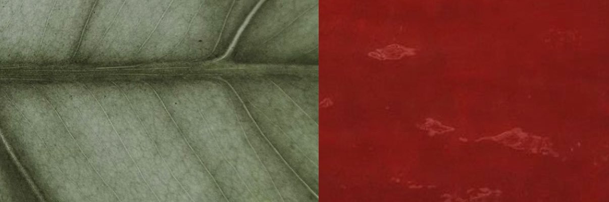 gerardsvampire's profile banner image