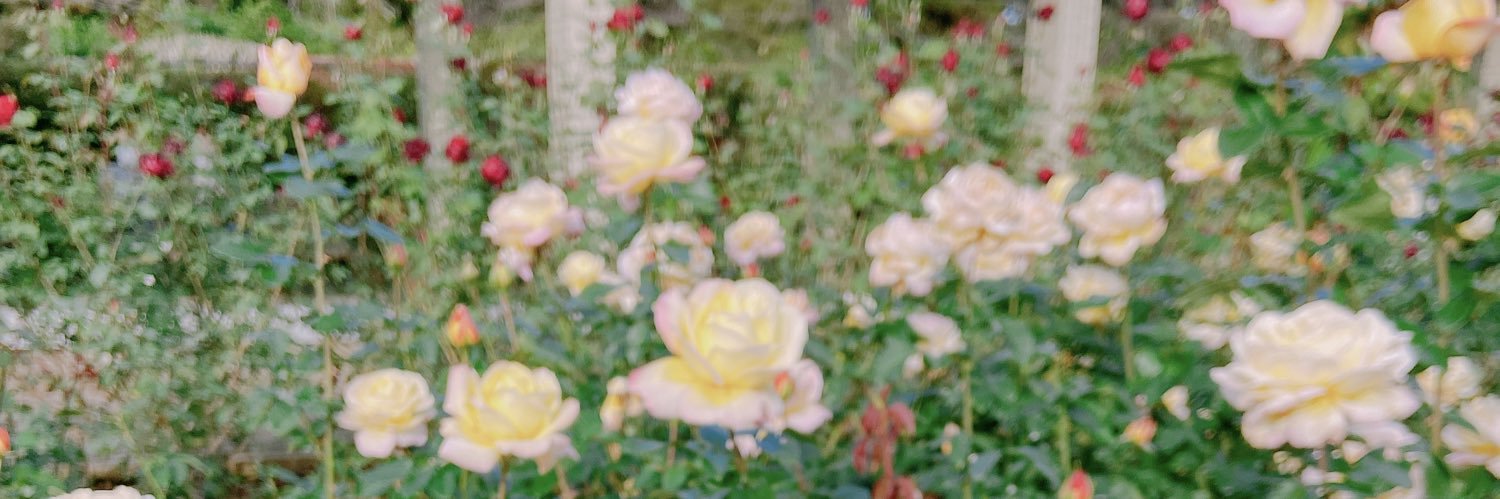 ねぎとろ@取引垢 banner