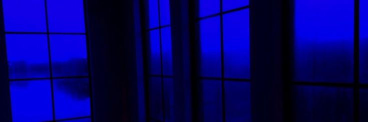 ankxin's profile banner image