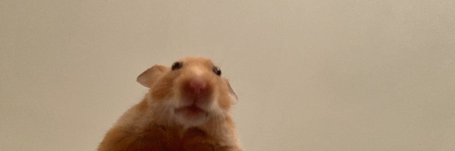 GracieBooze's profile banner image