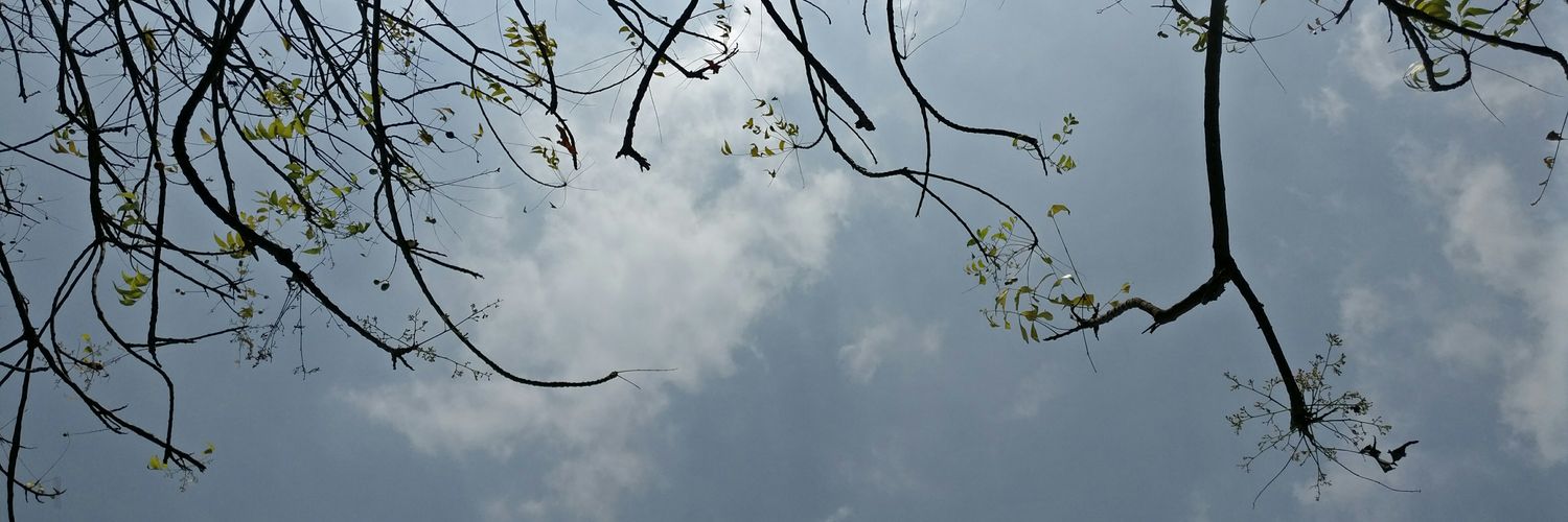 ThisIsLokey's profile banner image