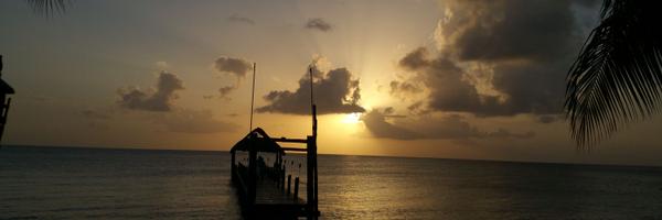 F3Frijole Profile Banner