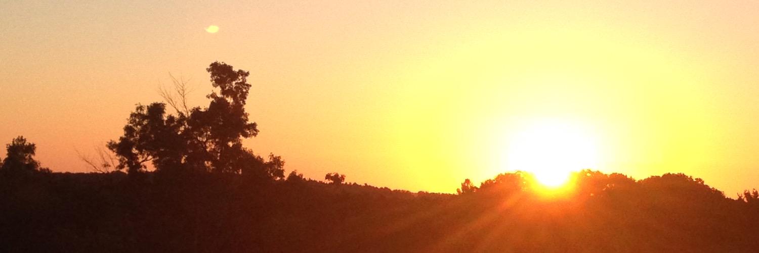 hmurphyyy's profile banner image