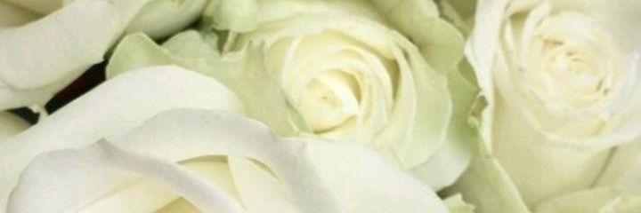 KaraboMfati's profile banner image