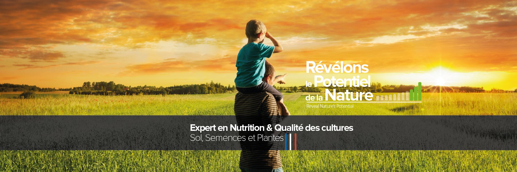 AGRONUTRITION's profile banner image