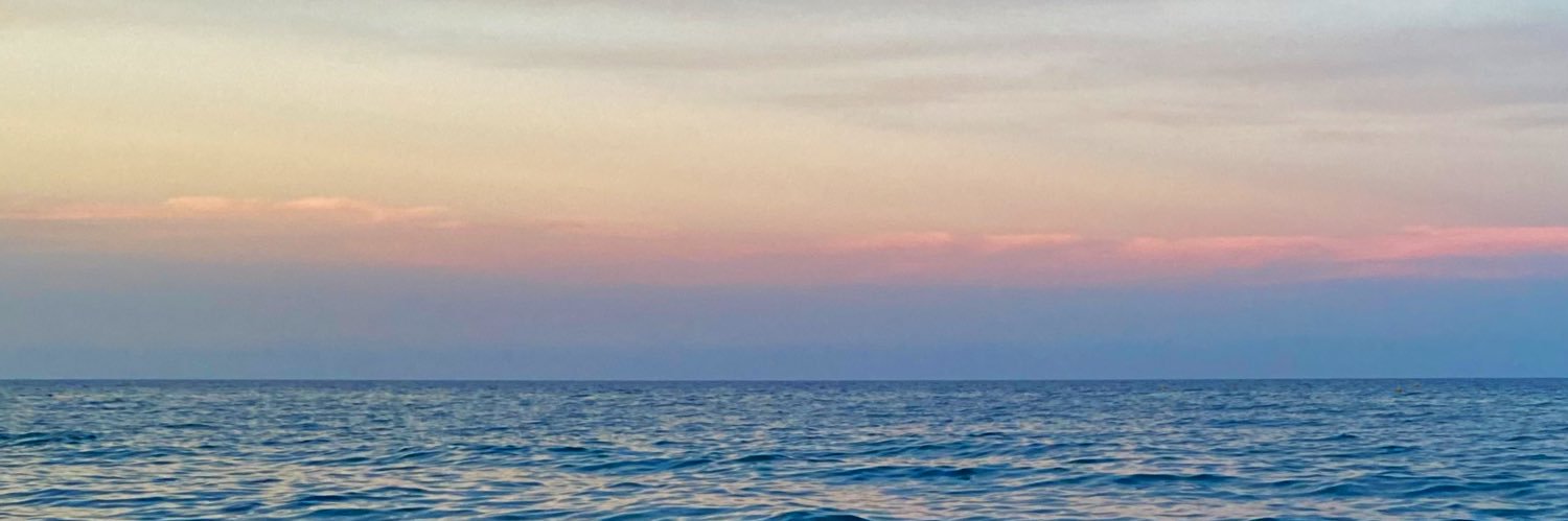 CamiiiCop's profile banner image