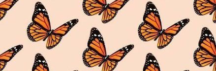bri_pos's profile banner image