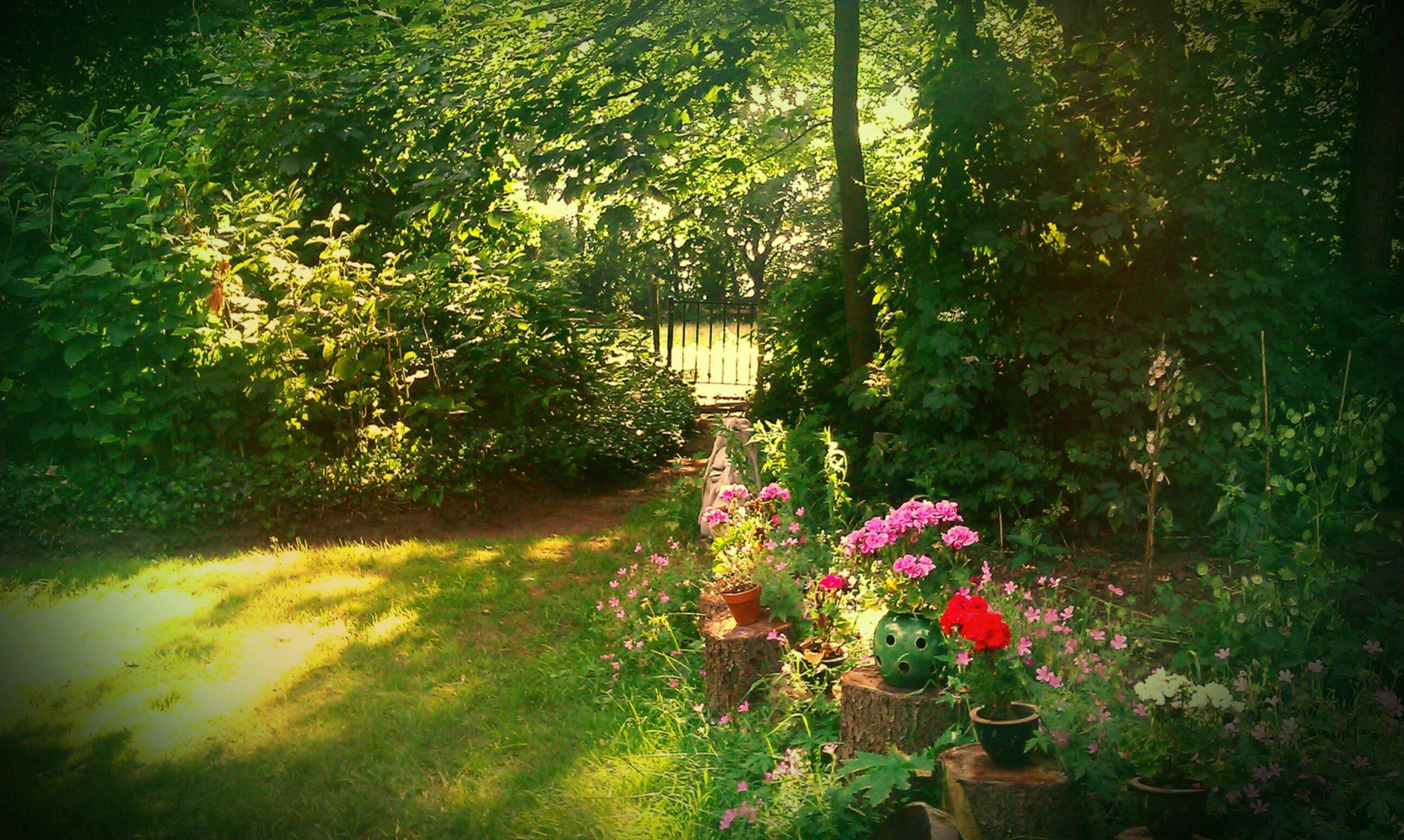 roeloftienkamp's profile banner image