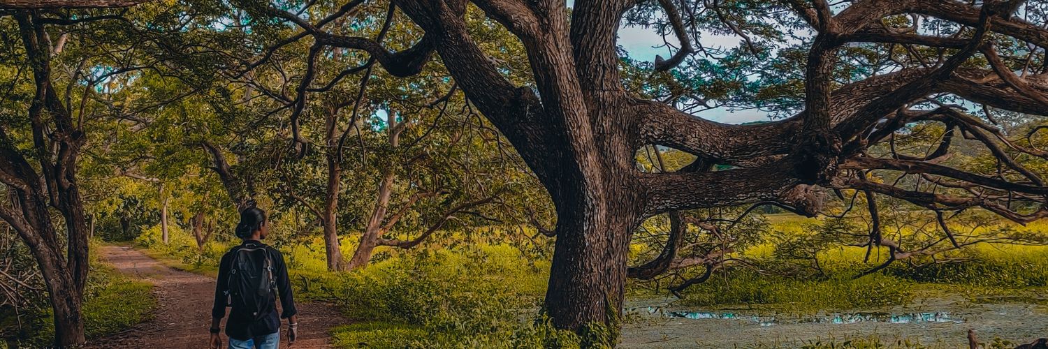 DanushkaCF's profile banner image