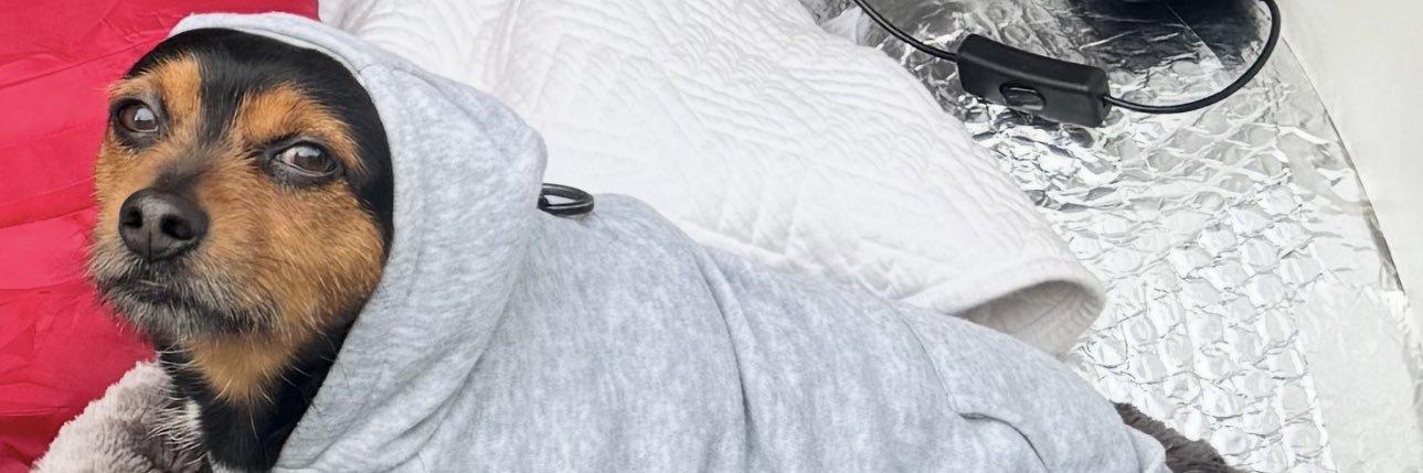 tabrobertsx's profile banner image