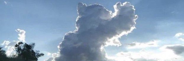 Near__'s profile banner image