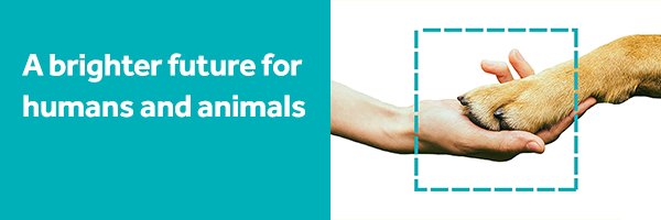 AnimalFreeResearchUK's banner