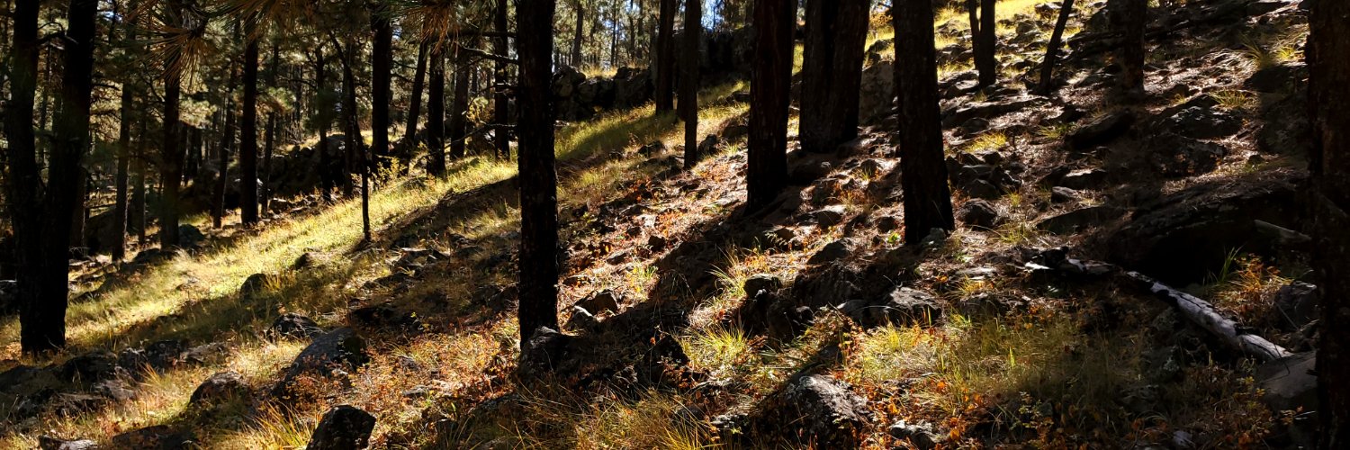 ReggieTheEnt's profile banner image