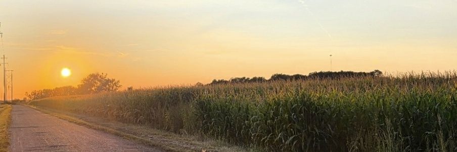 KatieTFF's profile banner image
