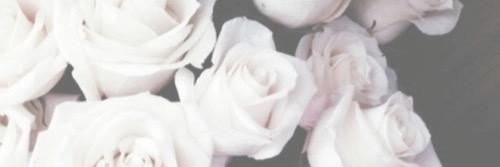 XING107_____'s profile banner image