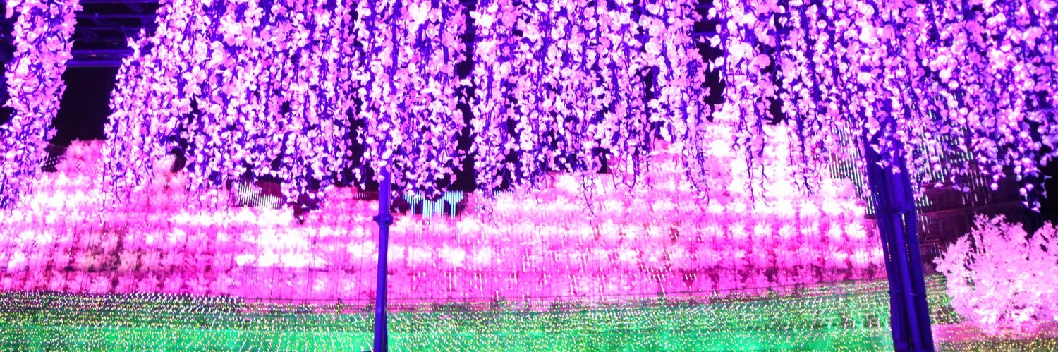 funamelo274's profile banner image