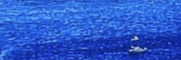 olcayzel2's profile banner image