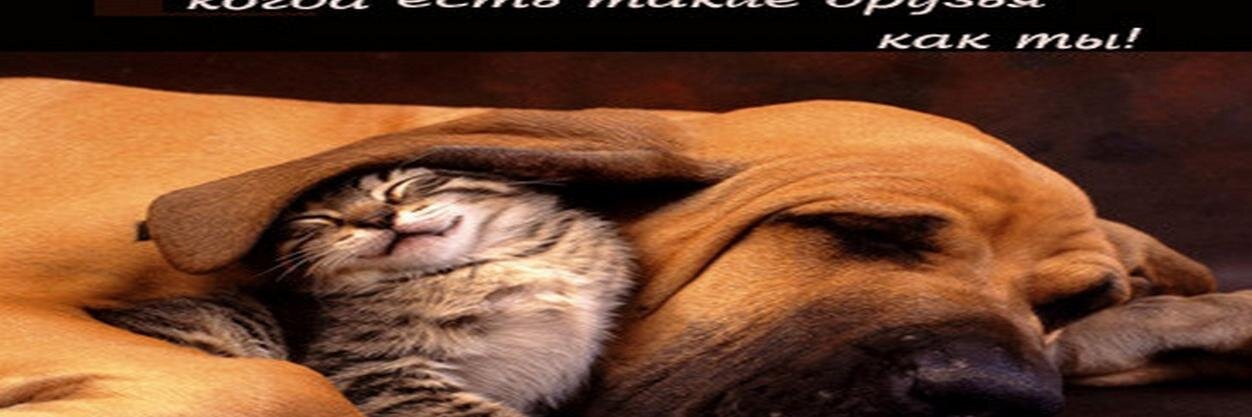 unacbocsemb's profile banner image