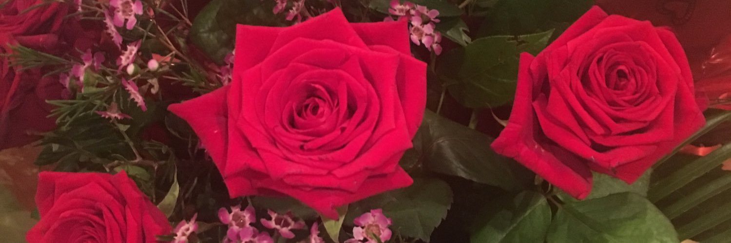 Amymole_'s profile banner image