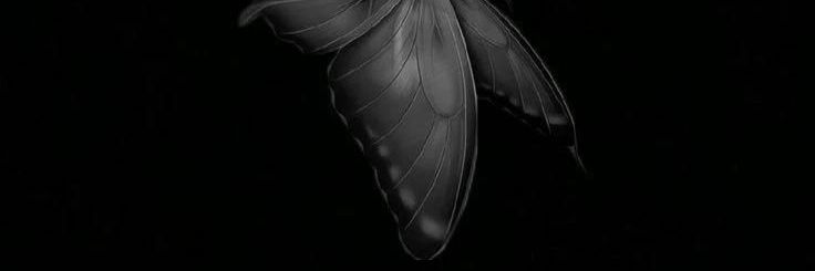 KKIMM🦊🧡 fan account banner