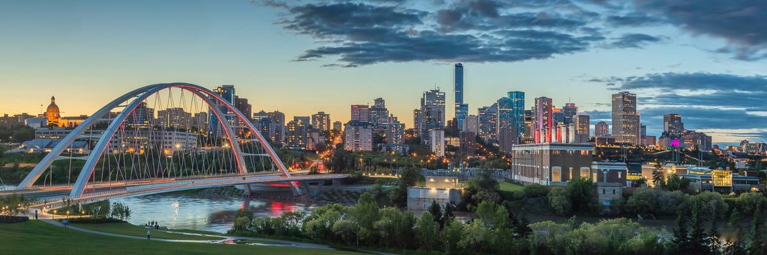 David Boychuk banner