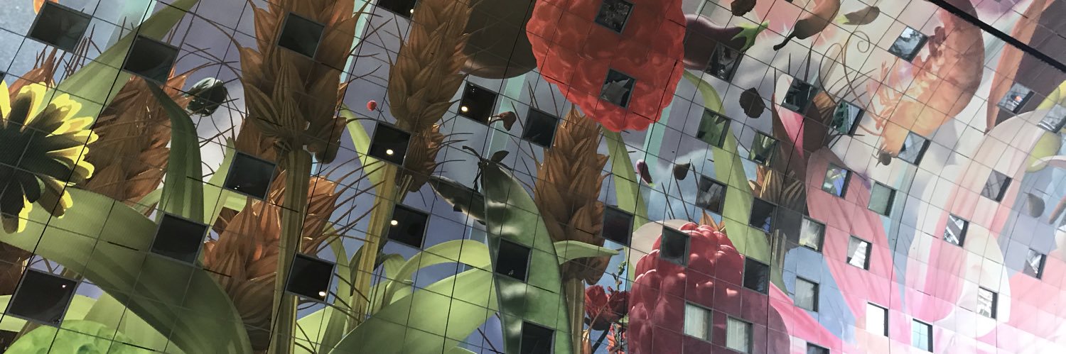 Laura Alcaide-Muñoz banner