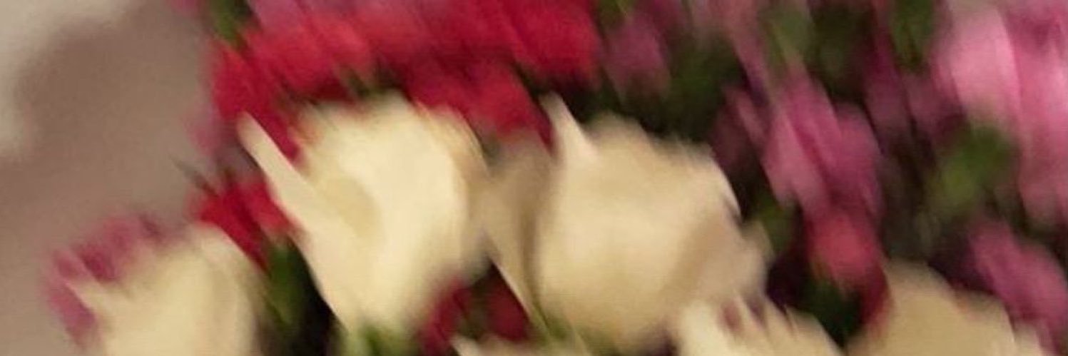 𐙚 ˚. ᡣ𐭩 banner