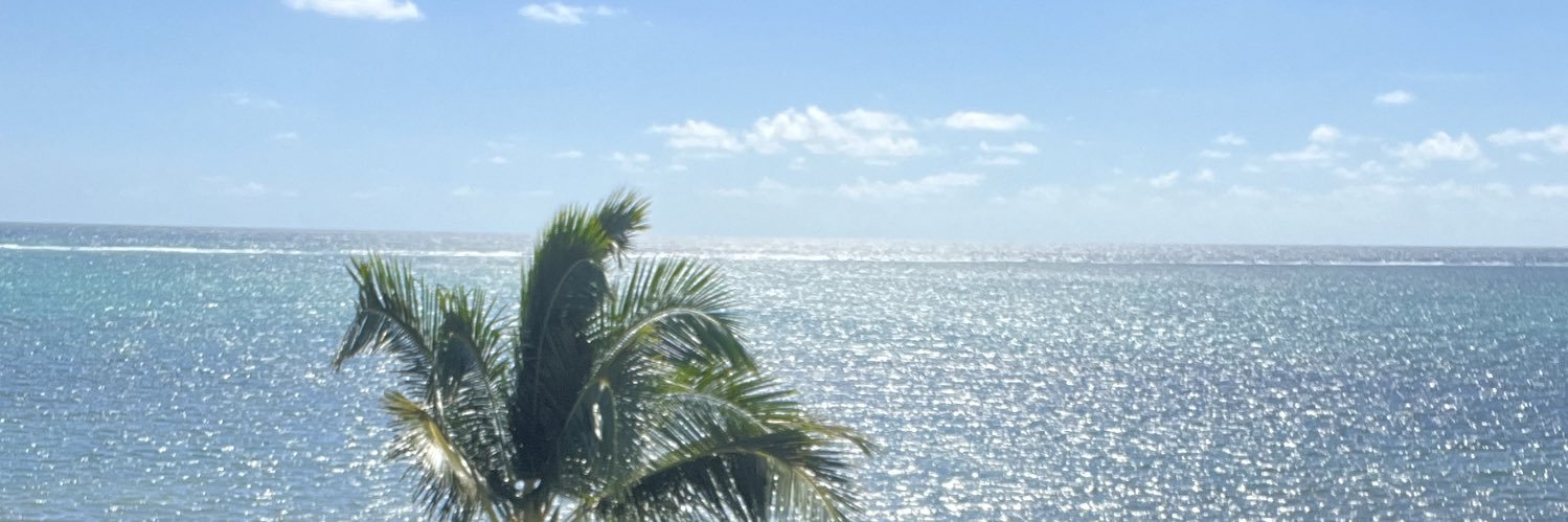 LMacLive's profile banner image