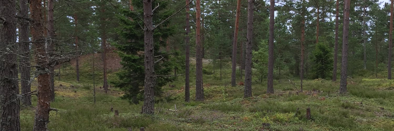 Pär banner