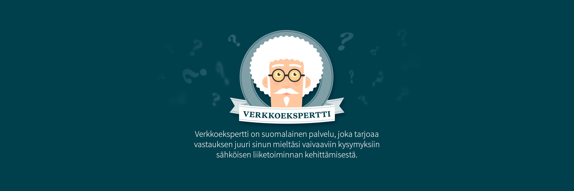 Verkkoekspertti banner