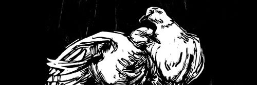 FRAMEC0DE's profile banner image