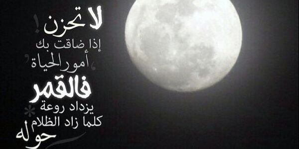 56d260aa22aa4ba's profile banner image