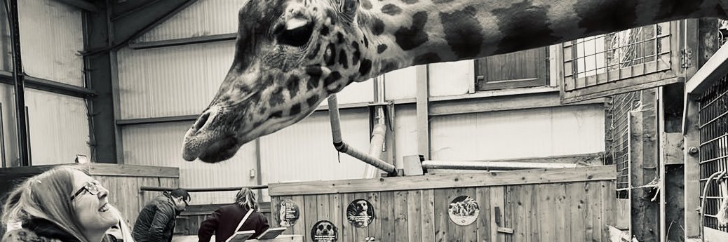 loopylindseywaf's profile banner image