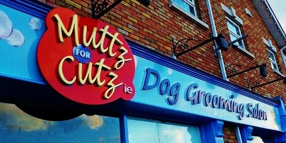 MuttzforCutz's profile banner image